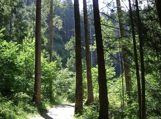 Lechner Traudi Kreuzschied 141 Neukirchen am Großvenediger
